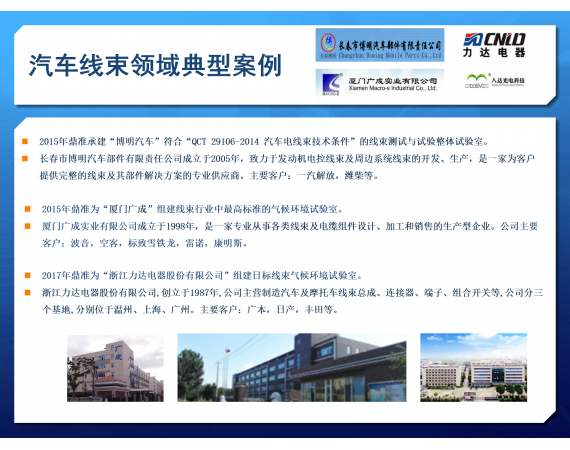 汽車線束領域典型案例